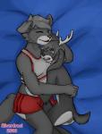 antlers duo female horn hug male silverdrool canid canine canis jackalope lagomorph mammal wolf