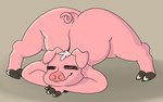 anthro ass_up jack-o'_pose male overweight overweight_male pink_body pose solo blueguylie domestic_pig mammal suid suine sus_(pig) 16:10 absurd_res hi_res widescreen