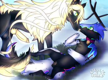 animal_genitalia animal_penis animal_vulva balls bell bell_collar black_body black_fur blue_body blue_fur blush canine_genitalia canine_penis canine_vulva chest_tuft cloud cloudy_sky collar collar_only cross_(marking) detailed_background duo female feral fluffy fluffy_tail fur genitals glowing glowing_body glowing_eyes glowing_fur glowing_genitalia glowing_penis glowing_ribbons glowing_vulva grass green_eyes head_tuft in_heat knot male mane markings mostly_nude multicolored_markings nude paws penis plant rainbow_markings rgb_lighting ribbons shy sky snow tail tree tuft vulva white_body white_fur winter stellaamoris mythology junpei_(auroratabi) rishian_(stellaamoris) canid canine canis dragon furred_dragon furred_scalie mammal mythological_creature mythological_scalie scalie star-born_wolf wolf absurd_res digital_drawing_(artwork) digital_media_(artwork) hi_res