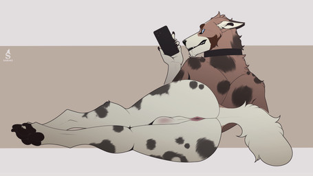 anthro anus balls butt collar ears_back fur genitals looking_at_viewer lying male markings on_side paws pivoted_ears raised_tail simple_background solo spots spotted_body spotted_fur tail sabuky rikuroo australian_shepherd canid canine canis domestic_dog herding_dog mammal pastoral_dog sheepdog absurd_res hi_res
