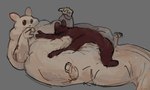 ambiguous_gender anthro belly big_belly black_eyes duo laying_on_another lying obese on_front overweight overweight_anthro simple_background tail thick_tail salamantha rain_world videocult artificer_(rain_world) gourmand_(rain_world) mammal slugcat digital_media_(artwork) hi_res