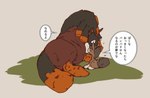 duo feral male male/male rubbing_head size_difference text young young_feral ryo_sumiyoshi nintendo pokemon generation_7_pokemon mudbray mudsdale pokemon_(species) hi_res japanese_text translated brother_(lore) brothers_(lore) sibling_(lore)