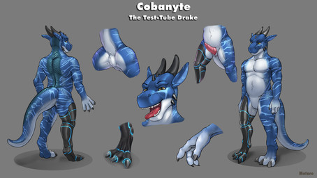 3_toes animal_genitalia anthro anus belly blue_body butt claws clone cybernetics digitigrade erection feet fingers genital_slit genitals horn machine male muscular muscular_anthro muscular_male navel nude open_mouth penis presenting scales slightly_chubby solo standing stripes tail tapering_penis teeth thick_thighs toes tongue tongue_out yellow_eyes motaro_(artist) mythology cobanyte cyborg dragon mythological_creature mythological_scalie reptile scalie 2020 absurd_res digital_media_(artwork) hi_res model_sheet