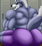 anthro big_butt butt butt_focus eye_patch eyewear fur grey_body grey_fur locker_room male muscular muscular_male sitting solo teeth thevillager nintendo star_fox wolf_o'donnell canid canine canis mammal wolf hi_res