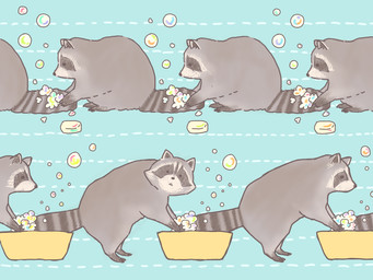 bathing blue_background feral fur grey_body grey_fur group simple_background ukko_(artist) mammal procyonid raccoon 2015 4:3
