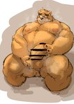 anthro anus balls belly blush bodily_fluids brown_body erection eyewear genitals glasses humanoid_genitalia humanoid_hands humanoid_penis kemono male moobs nipples overweight overweight_male penis sitting solo sweat kotobuki lifewonders tokyo_afterschool_summoners volos_(tas) bear mammal 2021 censored