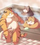 anthro balls bathing belly blush brown_body brown_fur eyes_closed fur genitals group male moobs navel nipples one_eye_closed overweight overweight_male penis sitting water wink ayame42612 bear canid canine felid mammal pantherine tiger 2009