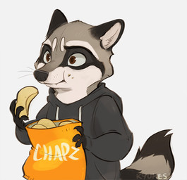 anthro brown_body brown_eyes brown_fur chips_(food) clothed clothing eating fluffy food fur jacket male markings multicolored_body short simple_background solo standing tail tail_markings topwear kyukes mammal procyonid raccoon 2018 reaction_image smaller_version_at_source