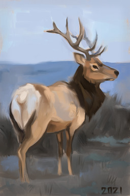 big_antlers black_eyes black_nose blue_sky brown_body brown_fur butt feral fur grass male plant quadruped sky solo standing tan_body tan_fur water white_butt alexpahomov cervine deer elk mammal 2021 hi_res