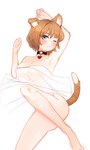 2023 3:5 animal_humanoid canid canid_humanoid canine canine_humanoid collar collar_only dog_humanoid female gina_(isekai_slow_life) hi_res humanoid isekai_slow_life mammal mammal_humanoid nude one_eye_closed paperclip_(artist) simple_background solo tail translucent white_background