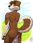 anthro balls butt ched_wild genitals male nude presenting solo tail shinyfoxguy border_collie canid canine canis collie domestic_dog herding_dog mammal pastoral_dog sheepdog hi_res