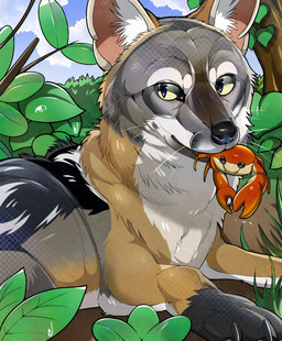 ambiguous_gender black_body black_fur brown_body brown_fur feral food forest fur holding_food holding_food_in_mouth holding_object jungle multicolored_body outside plant sky solo tree whiskers yellow_eyes miyuwo arthropod canid canine crab crab-eating_fox crustacean decapod fox malacostracan mammal hi_res