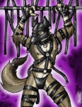 anthro bdsm bondage bound clothing g-string gimp_mask latex male mask muzzle_(object) muzzled solo submissive submissive_male tail underwear jax_the_bat canid canine mammal