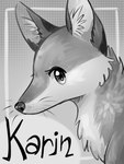 ambiguous_gender anterior_nasal_aperture black_nose black_text eyelashes feral fur inner_ear_fluff pupils solo text tuft whiskers white_sclera flavia-elric canid canine fox mammal 2019 3:4 cover cover_art digital_media_(artwork) english_text greyscale hi_res monochrome