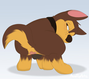 all_fours animal_genitalia anus balls blush brown_body brown_eyes brown_fur butt canine_genitalia collar collar_only crouching feral fur genitals hair hairless_balls looking_at_viewer looking_back male nude presenting presenting_anus presenting_hindquarters rear_view simple_background solo tail toony young aurapuparts paw_patrol chase_(paw_patrol) canid canine canis domestic_dog german_shepherd herding_dog mammal mixed_breed pastoral_dog absurd_res digital_media_(artwork) hi_res