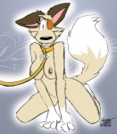 anthro biped breasts collar collar_only female kneeling leash looking_at_viewer nipples nude solo tail portzebie nail_(character) canid canine canis mammal wolf