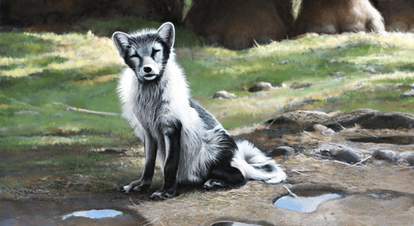 black_body black_fur black_nose brown_body brown_fur feral fluffy fur grass grey_body grey_fur group multicolored_body multicolored_fur plant puddle quadruped water white_body white_fur renum63 arctic_fox canid canine elephantid fox mammal mammoth prehistoric_species proboscidean true_fox woolly_mammoth 2015 artrage_(artwork) digital_media_(artwork)
