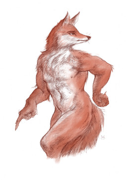 anthro fur male muscular muscular_male nude nude_male orange_body orange_fur solo standing walking javlinka canid canine fox mammal absurd_res hi_res