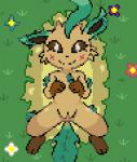 3_toes blush brown_eyes feet female feral flower genitals gloves_(marking) grass happy leaf leaf_ears leaf_tail leg_markings looking_at_viewer lying markings nude on_back outside plant presenting presenting_pussy pussy simple_background smile socks_(marking) solo spreading tail toes imactuallygarbage nintendo pokemon eeveelution generation_4_pokemon leafeon pokemon_(species) 2020 digital_media_(artwork) pixel_(artwork)