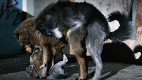 69_position adult_on_young age_difference all_fours anal anal_penetration animal_genitalia animal_penis animated_gif bad_parenting canine_genitalia canine_penis doggystyle erection fellatio feral feral_on_bottom feral_on_feral feral_on_top feral_penetrated feral_penetrating feral_penetrating_feral fluffy fluffy_tail foursome from_behind_position fur genitals group group_sex larger_feral male male/male male_on_bottom male_on_top male_penetrated male_penetrating male_penetrating_male older_feral older_male on_bottom on_top oral oral_penetration penetration penile penile_penetration penis penis_in_ass penis_nursing realistic_feral sex size_difference smaller_feral smaller_penetrated tail young young_feral younger_feral younger_male younger_penetrated trioami260 canid canine canis mammal wolf 16:9 2019 3d_(artwork) 3d_animation animated digital_media_(artwork) short_playtime unfinished widescreen father_(lore) father_and_child_(lore) father_and_son_(lore) incest_(lore) parent_(lore) parent_and_child_(lore) parent_and_son_(lore) son_(lore)