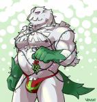 anthro anthrofied barazoku body_hair bulge chest_hair christmas_lights clothed clothing holidays kissing_bough looking_at_viewer male mistletoe muscular muscular_anthro muscular_male nipples pecs plant pokemorph pose pubes solo standing underwear voviat christmas nintendo pokemon abomasnow generation_4_pokemon mammal pokemon_(species) 2018 digital_media_(artwork) hi_res pinup