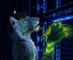 anthro bionic_eye bionics black_ears blue_body blue_fur brown_hair cybernetic_eye cybernetics dark fangs fur gloves_(marking) glowing glowing_markings green_body green_eyes green_fur green_markings green_stripes hair inner_ear_fluff internet light machine male markings multicolored_body multicolored_fur server server_room solo stripes teeth tuft whiskers white_body white_fur white_inner_ear_fluff swish nvidia felid mammal pantherine tiger artist_name hi_res lighting shaded