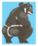 anthro asian_clothing black_nose brown_body brown_fur butt clothing east_asian_clothing facial_hair fundoshi fur japanese_clothing kemono male simple_background solo underwear white_background hysk bear mammal 2021 hi_res