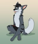 anthro black_hair blep boxers_(clothing) boxers_only clothed clothing fur grey_body grey_fur hair male orange_eyes paws plantigrade sitting stripes tail tongue tongue_out topless underwear underwear_only white_body white_fur theroguez razor_(razim) razor_the_firedog canid canine mammal 2022