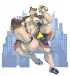 abs anthro balls biceps big_balls big_muscles big_penis biped bottomwear bottomwear_down brown_body brown_fur chest_tuft claws clothed clothing collar erection fangs fur genitals grin holding_penis huge_balls huge_penis humanoid_genitalia humanoid_penis hyper hyper_balls hyper_genitalia hyper_penis leash looking_at_viewer male muscular muscular_anthro muscular_male nipples nude pants pants_down partially_clothed pawpads paws pecs penis pose presenting presenting_penis shorts smile solo standing tan_body tan_fur teeth thick_penis toe_claws topless tuft vein boulevard haku_(maneater) alaskan_malamute canid canine canis domestic_dog hybrid mammal nordic_sled_dog spitz wolf