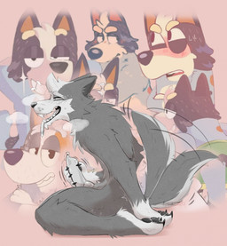 4_toes animal_genitalia animal_penis anthro balls black_nose black_pawpads blush bodily_fluids canine_genitalia canine_penis claws clothed clothing duo erection fangs fantasizing fantasy feet fur genital_fluids genitals grey_body grey_fur hair knot male male/male masturbation multicolored_hair nude open_mouth pawpads paws penile penis smile solo tail teeth thought_bubble toes tongue tongue_out white_body white_fur darkolynx bluey_(series) bob_heeler australian_cattle_dog canid canine canis cattledog domestic_dog herding_dog mammal pastoral_dog wolf digital_media_(artwork) hi_res