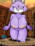 anthro areola big_breasts breasts detailed_background duo female fur game_background looking_away macro pixelated purple_body purple_fur solo_focus thick_thighs unknown_artist sega sonic_the_hedgehog_(series) blaze_the_cat sonic_the_hedgehog domestic_cat felid feline felis mammal 3:4