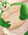 anthro belly big_belly black_nose bulge green_body kemono male moobs navel nipples one_eye_closed overweight overweight_male solo towel guratan_wa lifewonders live_a_hero mokdai canid canine canis domestic_dog mammal 2023 4:5 hi_res