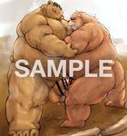 anthro balls belly big_belly blush bodily_fluids brown_body brown_fur butt cum cum_on_ground duo ejaculation erection fur genital_fluids genitals kemono male male/male overweight overweight_male penis sumo tongue tongue_out kotobuki bear mammal 2020 censored distracting_watermark watermark