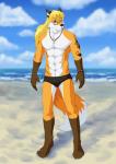 anthro beach blonde_hair blue_eyes bracelet clothing collar detailed_background eyewear glasses hair jewelry long_hair long_tail male muscular muscular_anthro muscular_male outside sand seaside sky smile solo spandex speedo swimwear tail tattoo tight_clothing water dragonjourney jcfox canid canine fox mammal hi_res