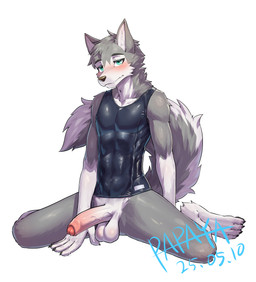 anthro balls black_clothing black_topwear blue_eyes blush bodily_fluids bottomless cheek_tuft clothed clothing erection facial_tuft foreskin front_view fur genital_fluids genitals grey_body grey_fur grey_tail humanoid_genitalia humanoid_penis kemono looking_at_viewer male mouth_closed neck_tuft penis pink_penis precum simple_background solo tail topwear tuft vein veiny_penis white_background white_body white_fur white_penis white_tail papayafurry canid canine mammal 2025 dated hi_res signature