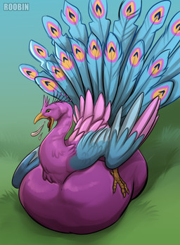 abdominal_bulge avian_feet beak biped blue_body bodily_fluids burping drooling feathered_crest feathered_wings feathers feral green_eyes head_crest male pink_body saliva size_difference smaller_pred tail tail_feathers wings roobin gyro_feather avian bird galliform peafowl phasianid absurd_res hi_res