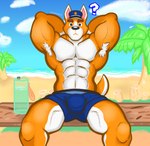 anthro armpit_hair barazoku beach body_hair bottle bulge clothing container detailed_bulge furniture genital_outline hands_behind_head hat headgear headwear male muscular muscular_anthro muscular_male penis_outline police police_officer poster presenting presenting_bulge raised_arm seaside sitting solo table water_bottle notedwolf animal_crossing nintendo copper_(animal_crossing) akita canid canine canis domestic_dog mammal spitz absurd_res hi_res