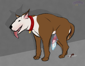 bodily_fluids breath collar condom contiguous_snout cum feces feces_on_body feces_on_ground feces_on_tail feral filled_condom genital_fluids leaking leaking_cum male panting scatplay sexual_barrier_device solo tail tail_between_legs tongue tongue_out wearing_condom asphyxihoe bull_terrier canid canine canis domestic_dog hunting_dog mammal terrier hi_res sketch