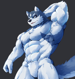 abs anthro biceps black_nose blue_eyes chest_tuft fangs featureless_crotch fur grey_background male muscular muscular_anthro muscular_male pecs simple_background solo standing teeth tuft waddledox canid canine mammal 2018 absurd_res digital_media_(artwork) hi_res
