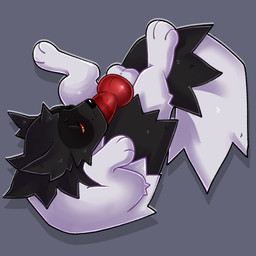 alternate_color animal_genitalia animal_penis autofellatio balls big_penis black_body black_fur black_nose bodily_fluids canine_genitalia canine_penis erection feral flexible fur genitals grey_background half-closed_eyes knot leaning leaning_forward lying male masturbation narrowed_eyes on_back oral oral_masturbation penile penile_masturbation penis red_penis saliva saliva_on_penis simple_background solo white_body white_fur pokemania nintendo pokemon pokie_(pokemania) generation_3_pokemon pokemon_(species) zigzagoon 1:1 2019