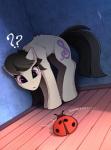 ambiguous_gender antennae_(anatomy) black_hair cutie_mark duo female feral hair hooves purple_eyes question_mark sound_effects yakovlev-vad friendship_is_magic hasbro my_little_pony octavia_(mlp) arthropod beetle cucujoid earth_pony equid equine horse insect ladybug mammal pony 2019 digital_media_(artwork) hi_res