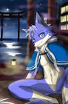 anthro featureless_crotch looking_at_viewer male male_anthro moon night sky solo star starry_sky torii beemxddd100 canid canine canis mammal wolf hi_res