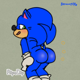 animated_gif anthro black_nose blue_body blue_ears blue_fur blue_hair blue_tail blush butt clothing footwear fur gloves green_eyes grey_background hair handwear looking_back male multicolored_clothing multicolored_footwear multicolored_shoes rear_view red_clothing red_footwear red_shoes red_sneakers shoes short_tail simple_background smile sneakers solo tail tan_body tan_fur text three-quarter_view twerking two_tone_clothing two_tone_footwear two_tone_shoes two_tone_sneakers white_clothing white_footwear white_gloves white_handwear white_shoes white_sneakers young young_anthro young_male bananapop sega sonic_the_hedgehog_(series) sonic_the_hedgehog eulipotyphlan hedgehog human mammal 1:1 2024 2d_animation animated artist_name digital_media_(artwork) flipaclip_(artwork) loop short_playtime