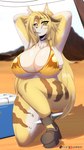 accessory anthro armwear big_breasts bikini breasts choker clothed clothing crouching detailed_background female fur gold_bikini green_eyes hair_accessory hairclip hands_behind_head handwear huge_breasts inner_ear_fluff jewelry looking_at_viewer low-angle_view multicolored_body multicolored_fur neck_tuft necklace pupils skimpy skimpy_bikini slit_pupils solo striped_body striped_fur stripes swimwear tail tan_body tan_fur thick_thighs tuft two-piece_swimsuit under_boob white_body white_fur wide_hips sly_shadex golden_week mihoyo zenless_zone_zero pulchra_fellini domestic_cat felid feline felis mammal thiren hi_res