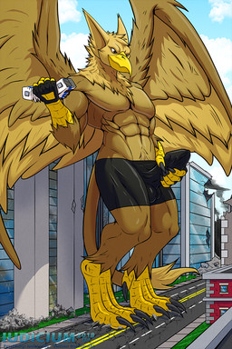 4_toes abs anthro balls balls_outline beak biceps biped boxer_briefs brown_body building building_destruction bulge city city_background city_crushing city_destruction cityscape claws clothing destruction detailed_bulge erection feathered_wings feathers feet finger_claws fingerless_gloves fingers genital_outline genitals gloves handwear humanoid_genitalia macro macro_anthro macro_male male male/male masturbation muscular muscular_anthro muscular_male nude outside paws pecs penile penile_masturbation penis penis_outline rampage solo tail toe_claws toes underwear vehicle vehicle_destruction wings iudicium86 mythology carpo avian gryphon mythological_avian mythological_creature 2:3 hi_res