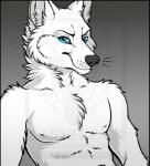 abs anthro black_nose blue_eyes clothed clothing fur grey_background halftone halftone_background inner_ear_fluff looking_at_viewer male pattern_background pose simple_background smile solo standing topless tuft white_body white_fur minerea canid canine canis mammal wolf 2018 digital_media_(artwork) half-length_portrait pinup portrait watermark