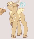 animal_genitalia animal_pussy antlers anus bodily_fluids butt clitoris crossgender equine_genitalia equine_pussy feathered_wings feathers female feral fur gender_transformation genitals hair hooves horn mtf_crossgender mtf_transformation nude potion pussy raised_tail simple_background solo surprise surprised_expression sweat tail transformation wings cactie mayternity mayternity_2025 cashew_harvest percy_tempest deer mammal peryton absurd_res digital_media_(artwork) hi_res