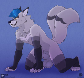 all_fours animal_genitalia anthro arm_warmers_(marking) balls big_balls blue_hair brown_eyes canine_genitalia chest_markings claws genitals grey_body hair leg_markings male markings multi_tail penis penis_tip pubes red_penis saggy_balls sheath smile socks_(marking) solo tail teeth kwik_(artist) thatblackfox alex_fox_(foxruntime) arctic_fox canid canine fox mammal true_fox absurd_res hi_res