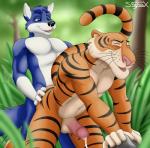 abs anal anal_penetration anthro anthro_on_anthro anthrofied balls bent_over biceps black_nose blue_body blue_eyes blue_fur bodily_fluids countershading cum cum_while_penetrated depth_of_field duo erection eyes_closed fingerless_(marking) forest from_behind_position fur genital_fluids genitals gloves_(marking) humanoid_genitalia humanoid_penis male male/male male_penetrated male_penetrating male_penetrating_male markings multicolored_body multicolored_fur muscular muscular_male nude open_mouth outdoor_nudity outside pecs penetration penis pink_nose plant raised_tail sex striped_body striped_fur stripes tail tree two_tone_body two_tone_fur vein whiskers sigma_x disney sonicfox talespin the_jungle_book nik_(sonicfox) shere_khan bengal_tiger canid canine canis felid fox hybrid mammal pantherine tiger wolf 2010 digital_media_(artwork) hi_res