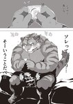 anthro blush condom erection genitals humanoid_hands kemono male nipples overweight overweight_male penis sexual_barrier_device sitting solo text hachirouta felid mammal pantherine tiger 2024 absurd_res censored hi_res japanese_text